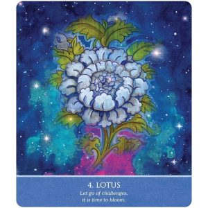 Auspicious Symbols for Luck and Healing Oracle - Ảnh 6
