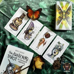 Awakening Tarot - Ảnh 12