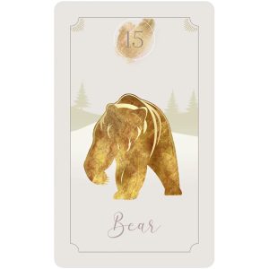 Azra’s Golden Lenormand Cards - Ảnh 5