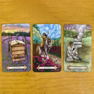 Bee Tarot - Ảnh 13