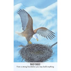 Bird Messages Cards - Ảnh 6