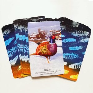 Bird Messages Cards - Ảnh 7