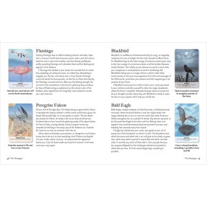 Bird Messages Cards - Ảnh 8