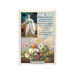 Blue Bird Lenormand - Ảnh 6