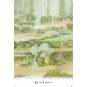 Body Healing Cards - Ảnh 8