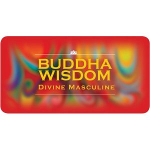 Buddha Wisdom Divine Masculine Cards - Ảnh 6