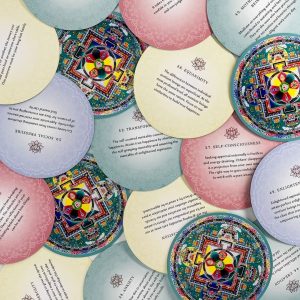 Buddhism Oracle Cards - Ảnh 11