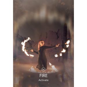 Business Astrology Oracle - Ảnh 5