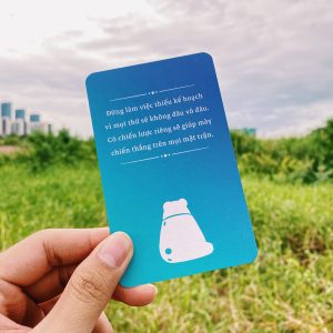 Busy Bear Oracle (Bài Gấu Bận Bịu) - Ảnh 11