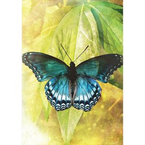Butterfly Transformations Cards - Ảnh 8