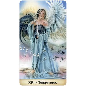Calandra Tarot - Ảnh 5