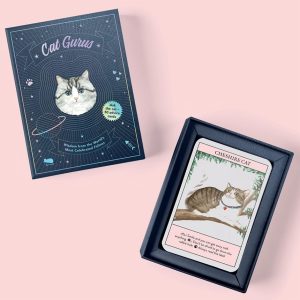 Cat Gurus Oracle - Ảnh 9