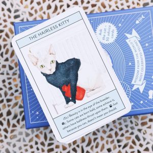 Cat Gurus Oracle - Ảnh 3
