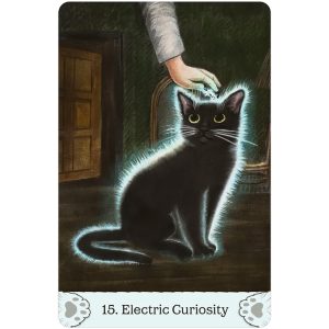 Cat Mythos and Magick Oracle - Ảnh 6