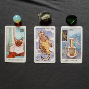Cat Tarot - Ảnh 10