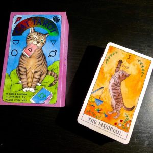 Cat Tarot - Ảnh 11