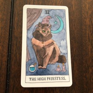 Cat Tarot - Ảnh 3
