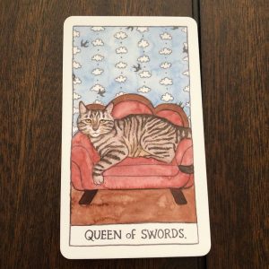 Cat Tarot - Ảnh 5