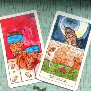 Cat Tarot - Ảnh 9