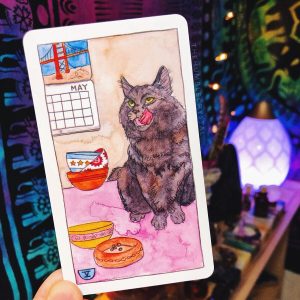 Cat Tarot - Ảnh 6