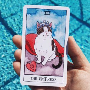 Cat Tarot - Ảnh 7