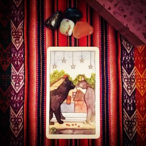 Cat Tarot - Ảnh 8