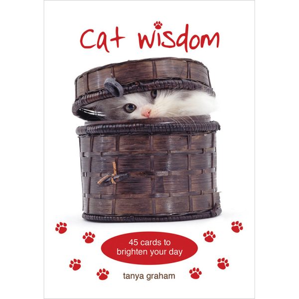 Cat-Wisdom-Cards-1.jpg