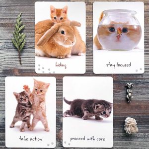 Cat Wisdom Cards - Ảnh 8