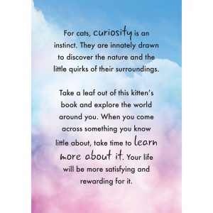 Cat Wisdom Cards - Ảnh 5