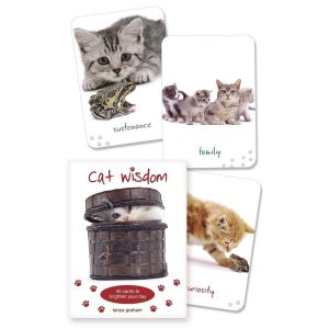 Cat Wisdom Cards - Ảnh 10