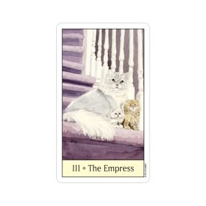 Cat's Eye Tarot - Ảnh 3