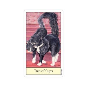 Cat's Eye Tarot - Ảnh 4