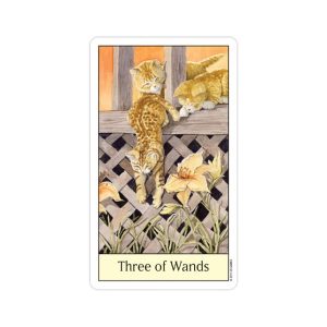 Cat's Eye Tarot - Ảnh 5