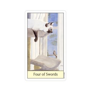 Cat's Eye Tarot - Ảnh 6