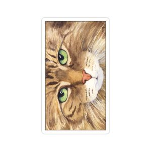 Cat's Eye Tarot - Ảnh 8