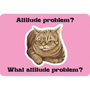 Cattitude Cards - Ảnh 4