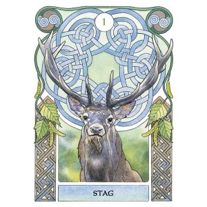 Celtic Astrology Oracle - Ảnh 4