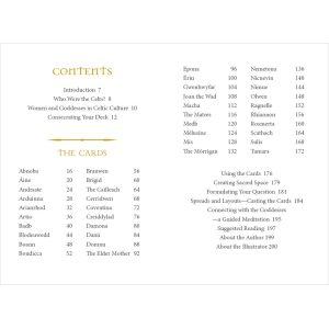 Celtic Goddesses, Witches, and Queens Oracle - Ảnh 13