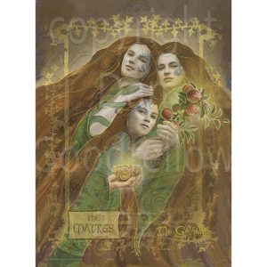 Celtic Goddesses, Witches, and Queens Oracle - Ảnh 4