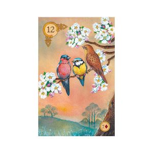 Celtic Lenormand - Ảnh 6
