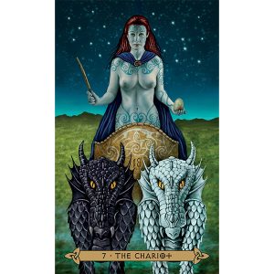 Celtic Tarot (Llewellyn) - Ảnh 3