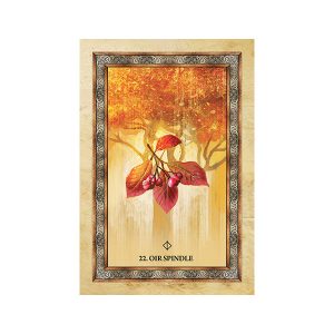 Celtic Tree Oracle - Ảnh 9