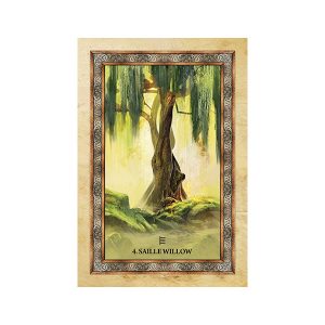 Celtic Tree Oracle - Ảnh 8
