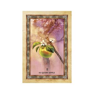 Celtic Tree Oracle - Ảnh 6