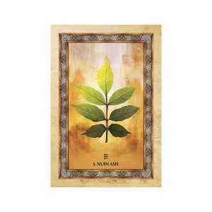 Celtic Tree Oracle - Ảnh 5
