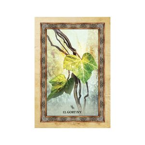 Celtic Tree Oracle - Ảnh 4