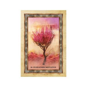 Celtic Tree Oracle - Ảnh 3