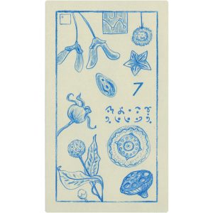 Cerulean Sequence Numerology Oracle - Ảnh 9