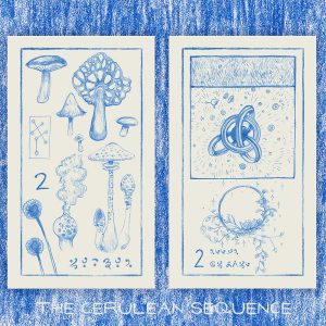 Cerulean Sequence Numerology Oracle - Ảnh 14