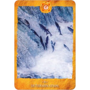Chakra Reading Cards - Ảnh 3